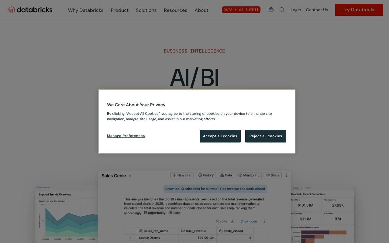 Screenshot der Databricks AI/BI Genie-Website